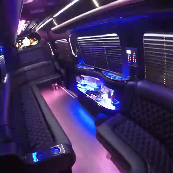 mercedes sprinter limo bus st augustine florida